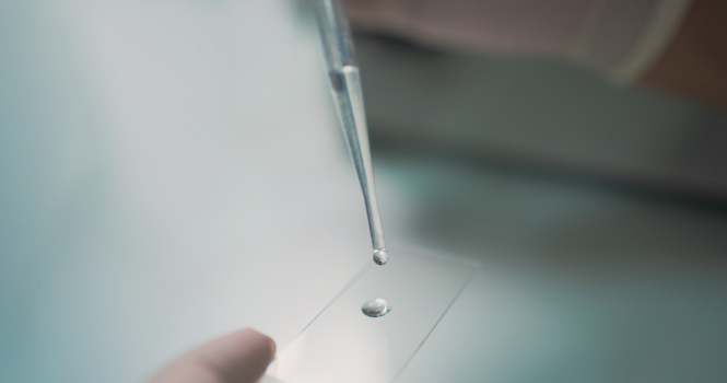 imgmolecular-diagnostics