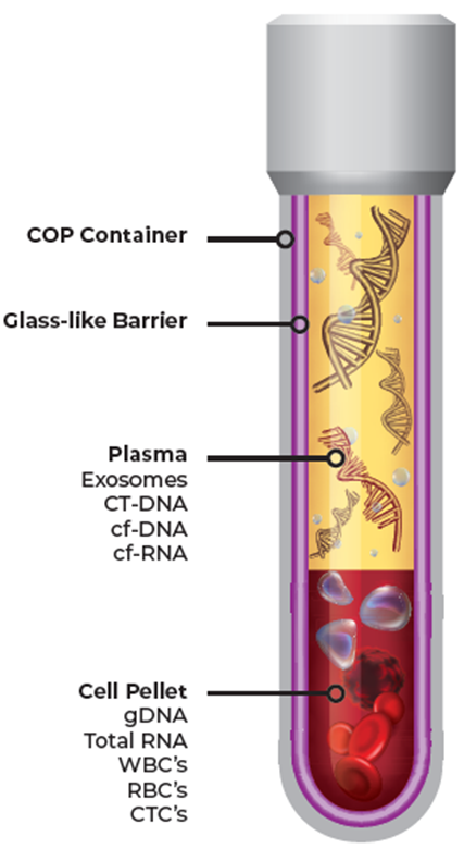 Blood Tubes_1.jpg